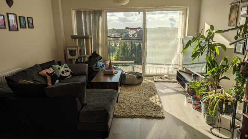 Image 3:2 bedroom Apartment or flat to rent