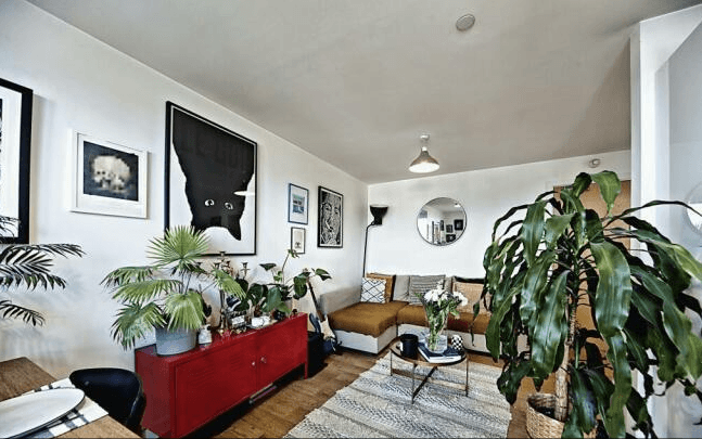 Image 1:1 bedroom Apartment or flat to rent