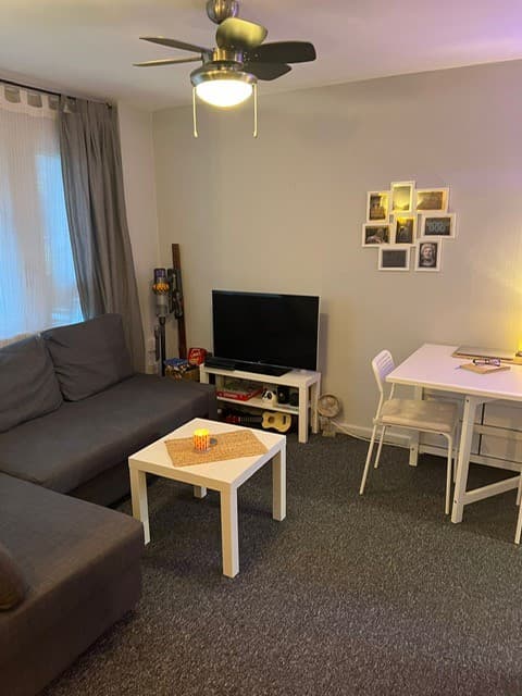 Image 1:1 bedroom Apartment or flat to rent