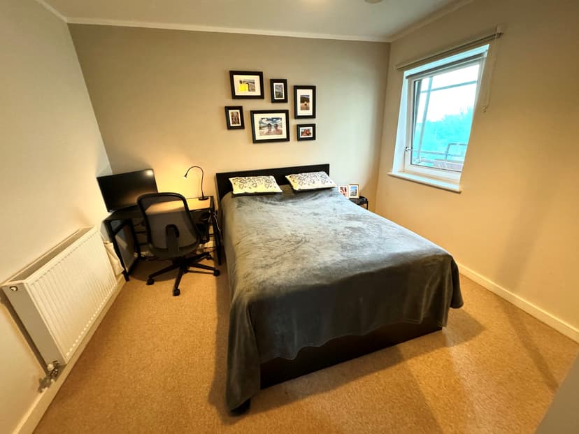 Image 3:1 bedroom Apartment or flat to rent