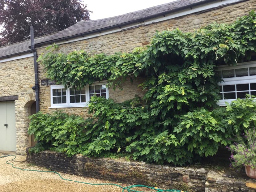 Image 1:1 bedroom Apartment or flat to rent