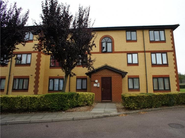 Image 1:1 bedroom Flat to rent