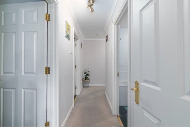 Image 2:2 bedroom Apartment or flat to rent