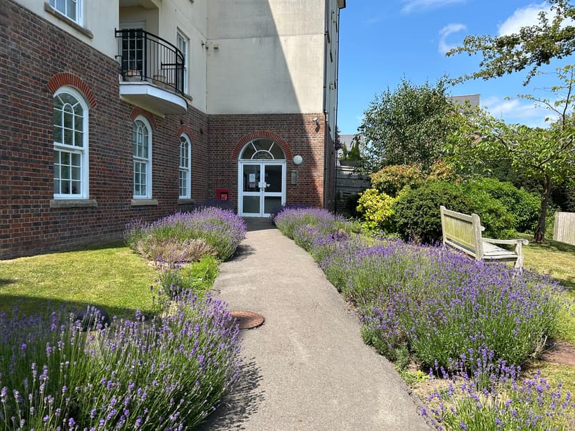 Image 2:1 bedroom Flat to rent