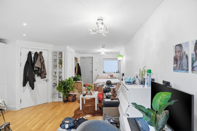 Image 3: Studio Flat to rent