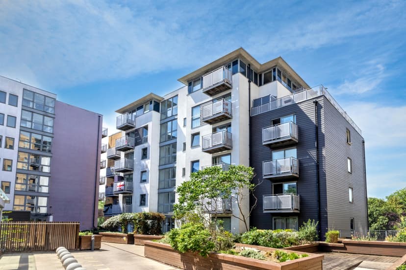 Image 1:1 bedroom Apartment or flat to rent