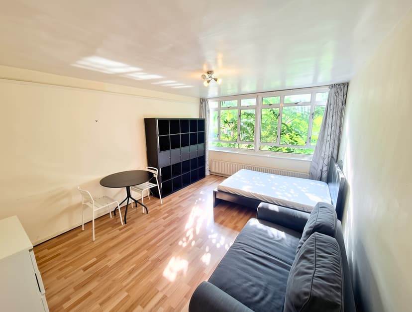 Image 2: Studio Apartment or flat to rent