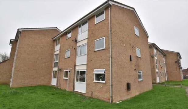 Image 1:1 bedroom Apartment or flat to rent