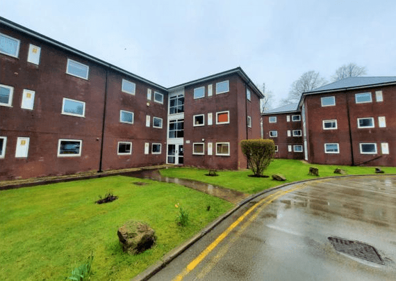 Image 1: Studio to rent