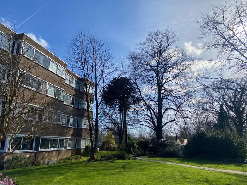 Image 1:2 bedroom Apartment or flat to rent