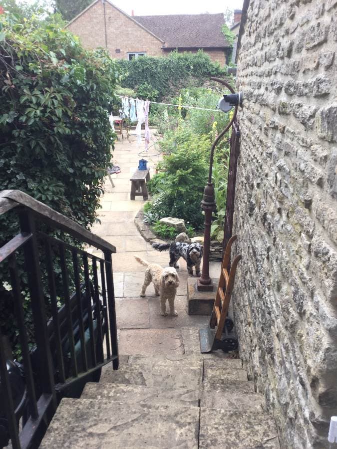 Image 3:1 bedroom Apartment or flat to rent