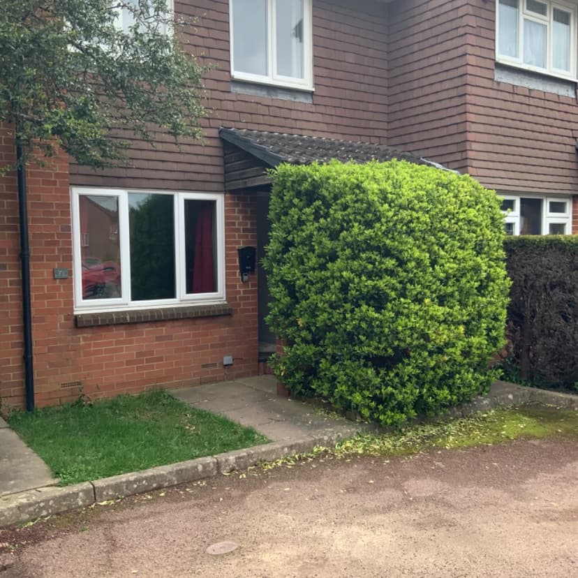 Image 1:1 bedroom Apartment or flat to rent