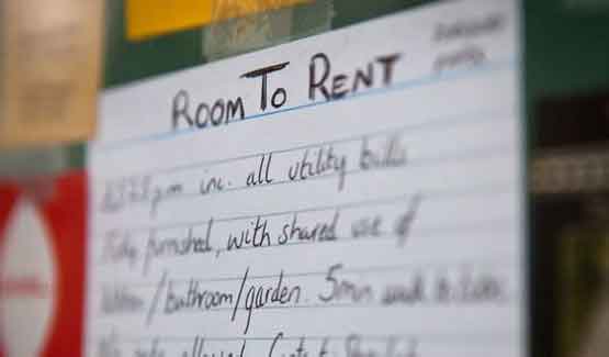Postcard sellotaped to a notice board advertising a private room to rent.