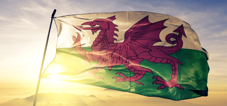 welsh flag blowing in the wind.